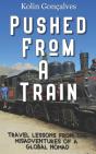 Pushed From A Train: Travel Lessons From - Preview