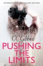Pushing The Limits - Preview