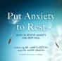 Put Anxiety To Rest - Preview