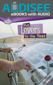 Capa do artigo Put Levers To The Test