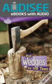 Capa do artigo Put Wedges To The Test