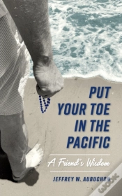 Capa do artigo Put Your Toe In The Pacific