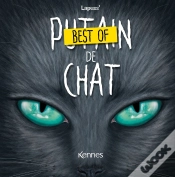 Capa do artigo Putain De Chat : Best Of