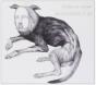 Putrifiers II - CD - Preview