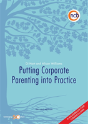 Putting Corporate Parenting Into Practice, Second Edition - Preview