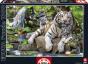 Puzzle Educa 1000 Pecas Tigres Brancos de Bengala 14808 - Preview