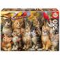 Puzzle Educa 500 Peças Gatinhos E Passaros 20241 - Preview
