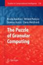 Puzzle Of Granular Computing - Preview