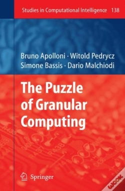 Capa do artigo Puzzle Of Granular Computing