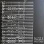 Puzzle - Vinil - Preview