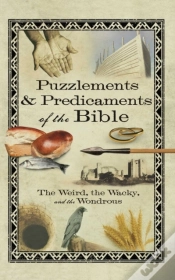 Capa do artigo Puzzlements & Predicaments Of The Bible