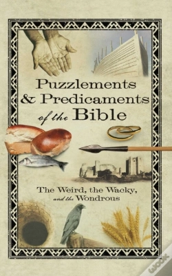 Capa do artigo Puzzlements & Predicaments Of The Bible
