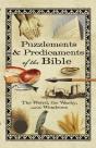 Puzzlements & Predicaments Of The Bible - Preview