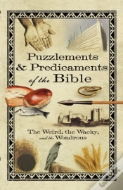 Capa do artigo Puzzlements & Predicaments Of The Bible