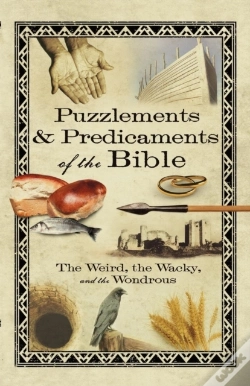 Capa do artigo Puzzlements & Predicaments Of The Bible