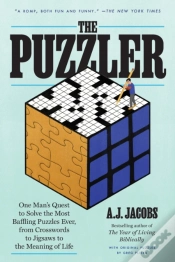 Capa do artigo Puzzler