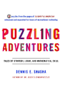 Puzzling Adventures - Preview