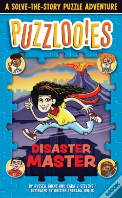 Capa do artigo Puzzlooies! Disaster Master