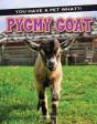 Pygmy Goat - Preview