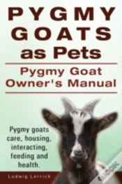 Capa do artigo Pygmy Goats As Pets. Pygmy Goat Owners M