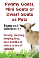 Pygmy Goats As Pets. Pygmy Goats, Mini Goats Or Dwarf Goats