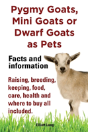 Pygmy Goats As Pets. Pygmy Goats, Mini Goats Or Dwarf Goats - Preview