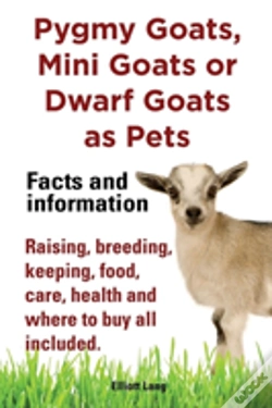 Capa do artigo Pygmy Goats As Pets. Pygmy Goats, Mini Goats Or Dwarf Goats