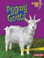 Pygmy Goats - Preview