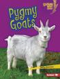 Pygmy Goats - Preview
