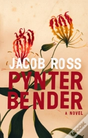 Capa do artigo Pynter Bender