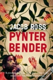 Capa do artigo Pynter Bender