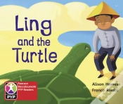 Capa do artigo Pyp L1 Ling And Turtle Single