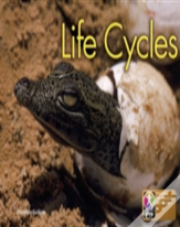 Pyp L6 Life Cycles Single