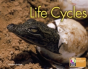 Pyp L6 Life Cycles Single - Preview