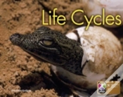 Capa do artigo Pyp L6 Life Cycles Single