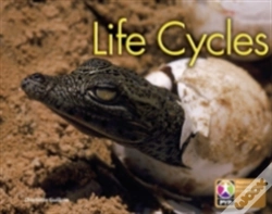 Capa do artigo Pyp L6 Life Cycles Single