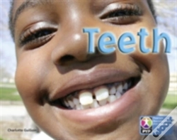Capa do artigo Pyp L7 Teeth Single