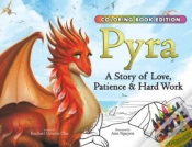 Capa do artigo Pyra