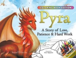 Capa do artigo Pyra