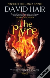 Capa do artigo Pyre