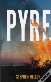 Capa do artigo Pyre