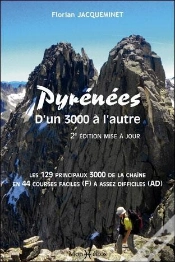 Capa do artigo Pyrenees, D