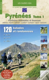 Capa do artigo Pyrénées T.1 ; Orientales Et Donezan