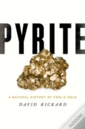 Capa do artigo Pyrite