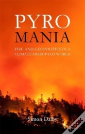 Capa do artigo Pyromania