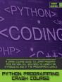 Python Programming Crash Course - Preview