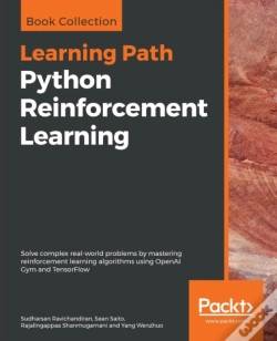 Capa do artigo Python Reinforcement Learning
