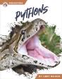 Pythons - Preview