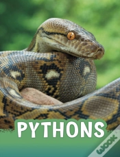 Capa do artigo Pythons