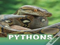 Pythons